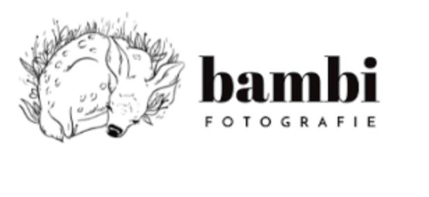 Bambi Fotografie